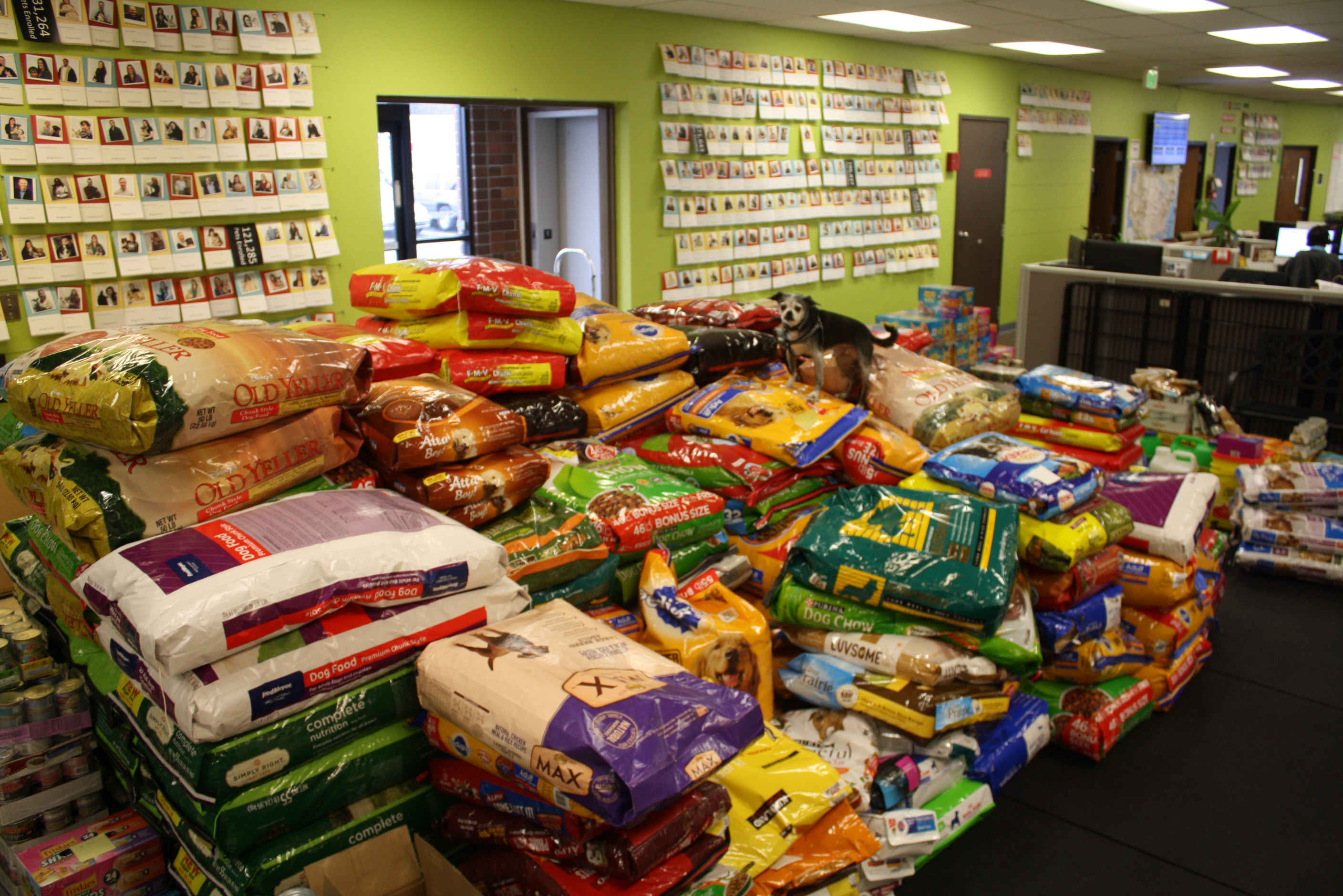 Ballardbased Trupanion donates over 6 tons of dog and cat food this