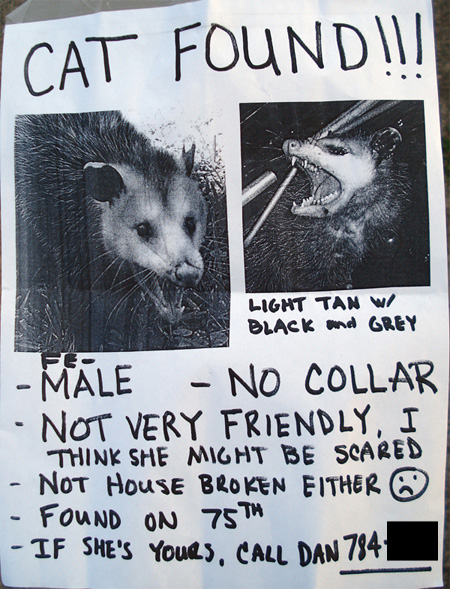 Cat found' poster shows one mean kitty 