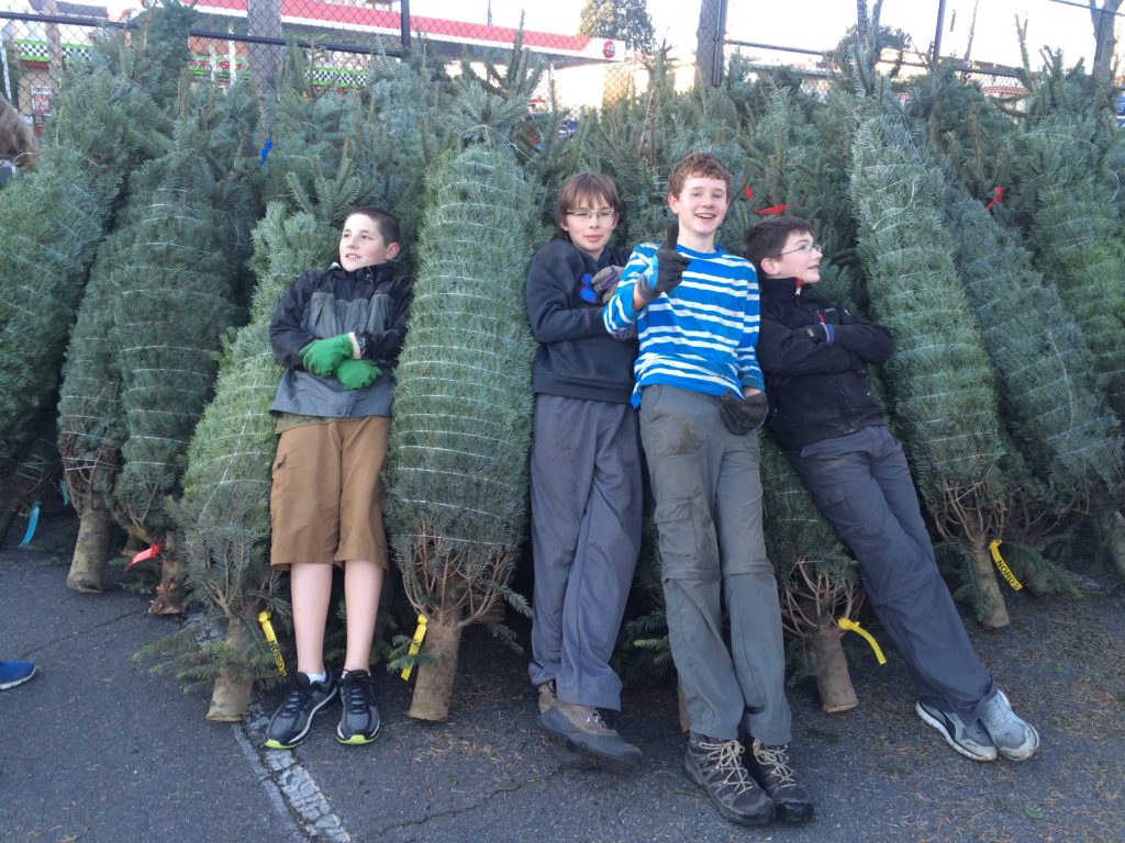 Boy Scout Troop Christmas Tree lot to open this Saturday My Ballard