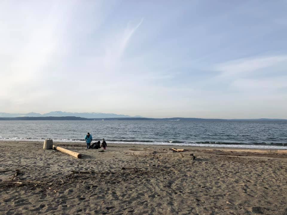 Beach Cleanup At Golden Gardens This Weekend My Ballard