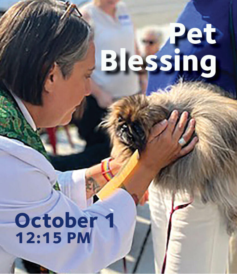 Blessing of the Pets My Ballard