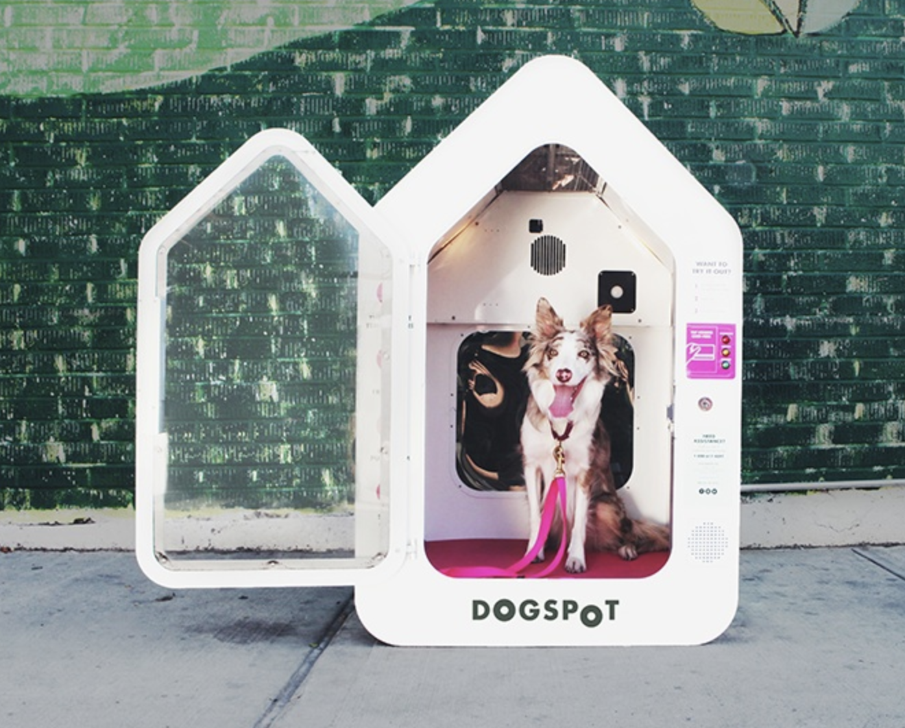 High-tech dog houses coming to Ballard – My Ballard