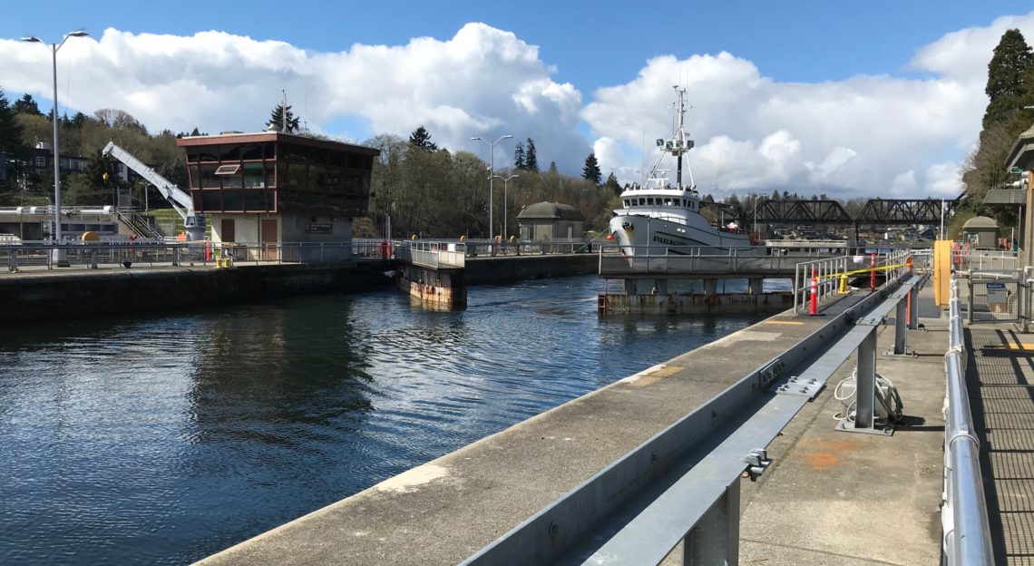 The wait is over: Ballard Locks to reopen to pedestrians April 28 – My ...